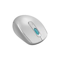 EVEREST SMW-87 GRI USB 2.4Ghz KABLOSUZ  MOUSE